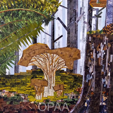 Chantrelle Mushrooms In The Foggy Forest, Mary Lewis, #118