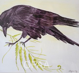 "Crow" by Deborah Young #142