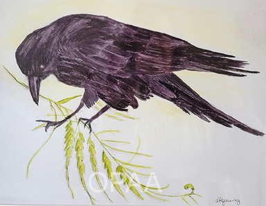 Crow, Deborah Young, #142