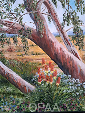 Entwined, Valle Nevaril, #129