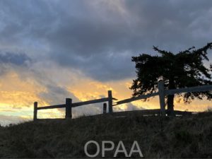 Fall Sunset at Fort Flagler, Jeff Alford, #102