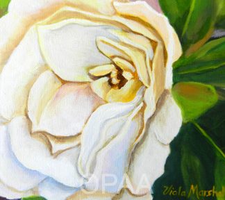 "Fragrant Gardenia" by Viola Marshall #120