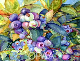 "Melissa's Blueberries" by Allyne Lawson #116