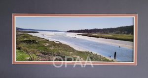 The End of Hood Canal, Deborah Young, #141