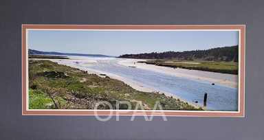 The End of Hood Canal, Deborah Young, #141